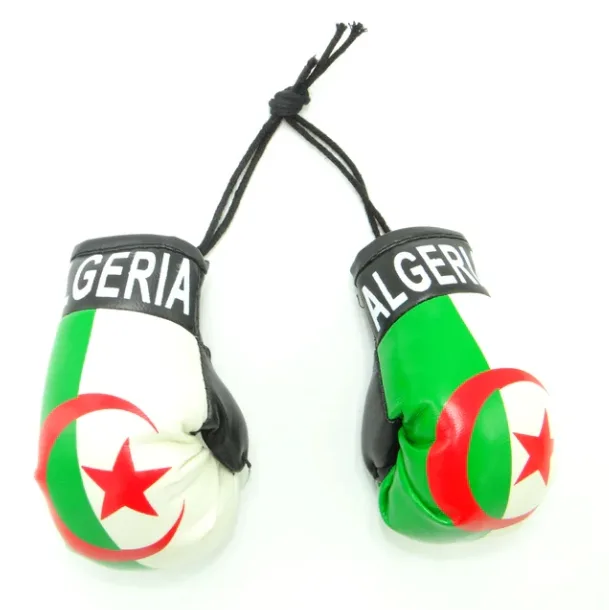 Algeria Flag Souvenir Mini Boxing Gloves